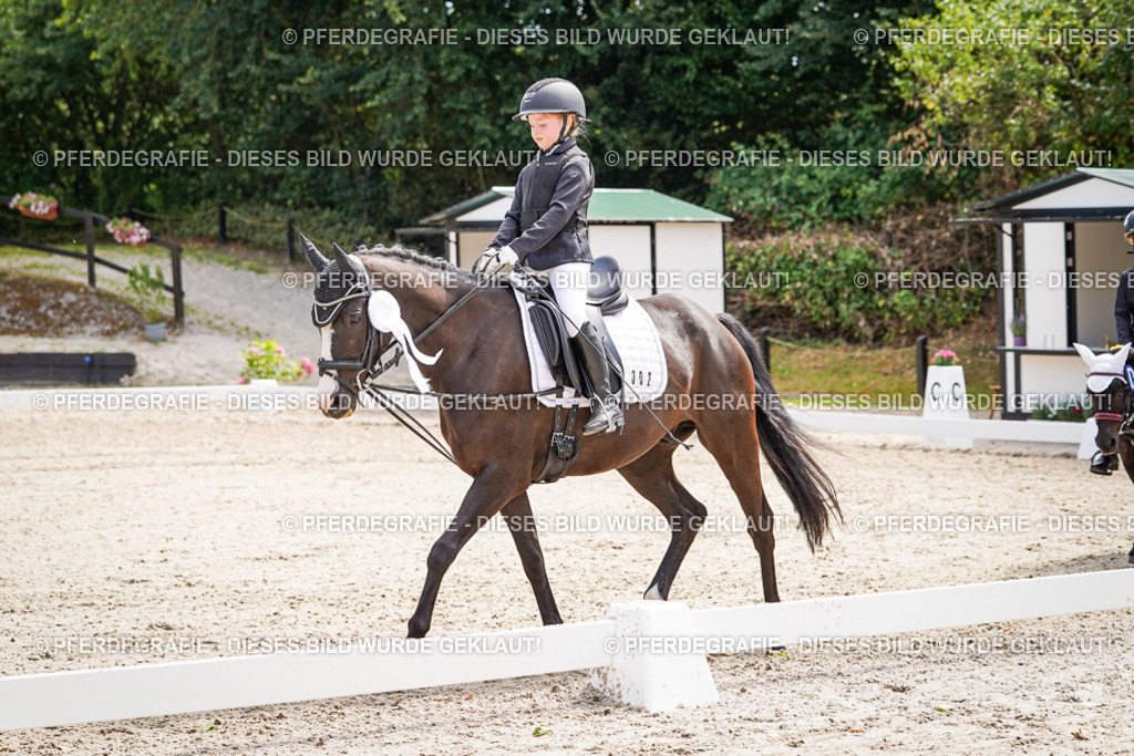 DSC02919 | Pferdegrafie