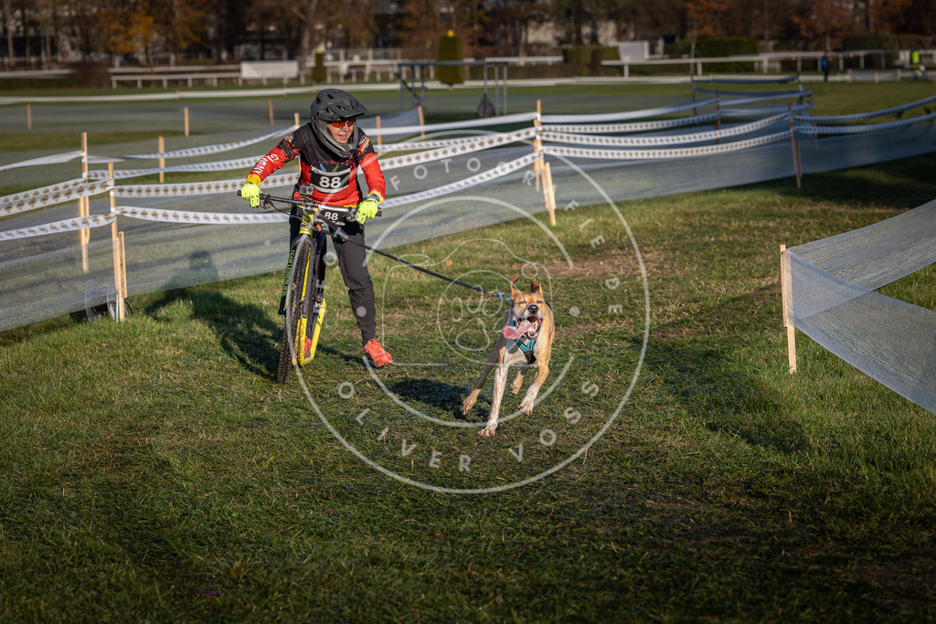CaniXpix_0L8A3848 | Hundefotografie, Tierfotograf, Pfotenfotografie, Fotoshooting Hund, Hunde Portrait, Hundesport, Hundeportraits, Heideshooting, Hunde, Sportfotograf, Hundefotograf, Turnierhundsport, THS,  - Realisiert mit Pictrs.com