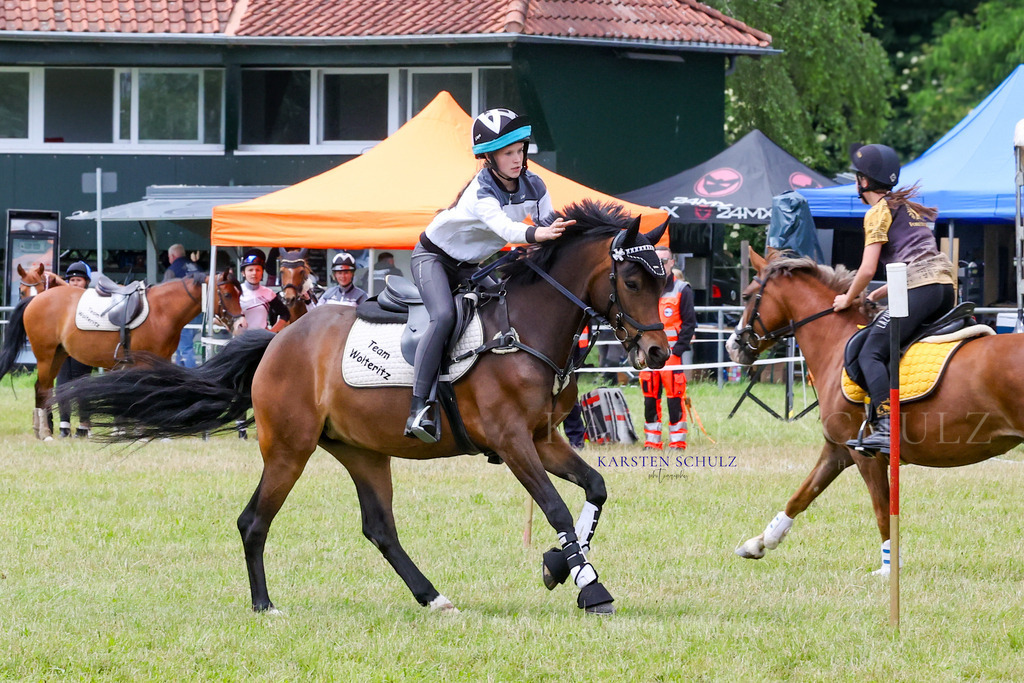 1B3A1302 | Reitsport Reiten