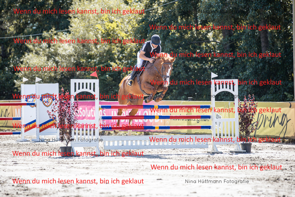 BK1A6376 | Turnierbilder Turnierfotos Nina Hüffmann Turnierfotografie Pferdefotografie Tierzeichnung Haustierzeichnung Pferdezeichnung Hundezeichnung Videograf  - Realisiert mit Pictrs.com