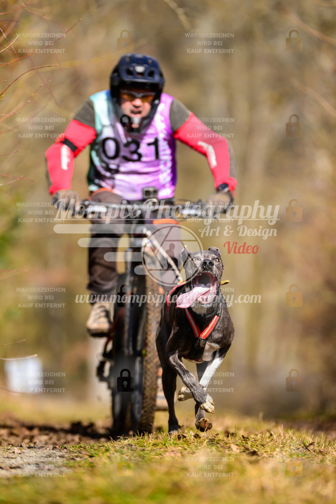 MompixPhotography_Schwabentrail2025_SO_Bike-27 | PayLife