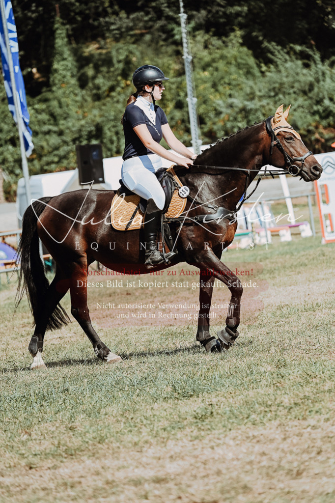 DSC_9638 | Pferde- und Turnierfotografie in Westsachsen. Pferdeportraits, Auftragszeichnungen und intuitive Kunst.