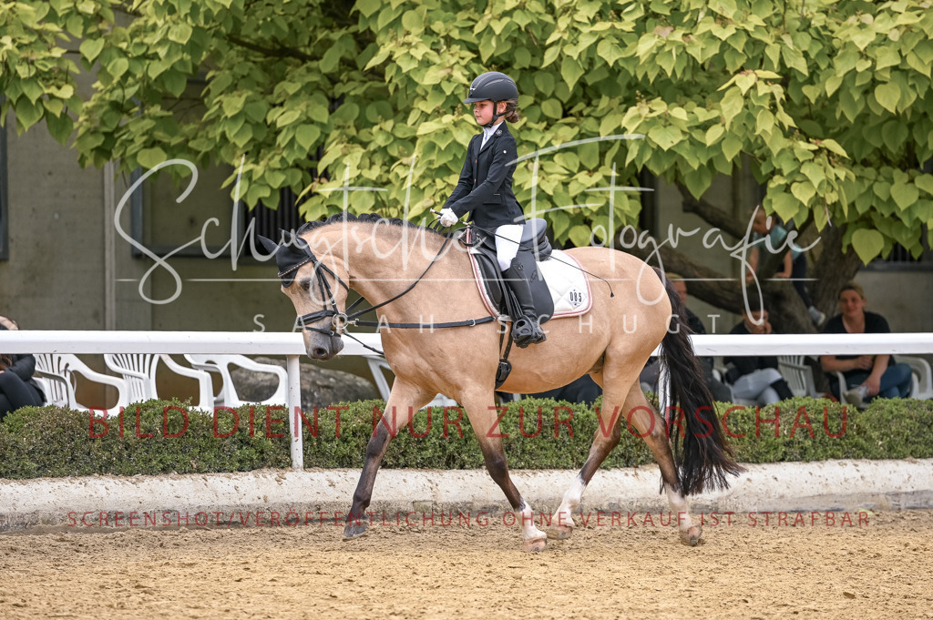 Schugtsche-Aluta25-47.ReiterWB_ST-81 | Schugtsche Fotografie - Realisiert mit Pictrs.com