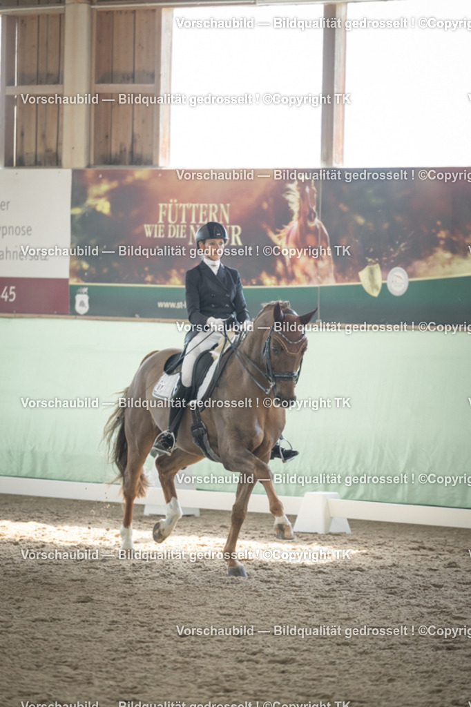 _D5A1258 | Emotionale Pferde- & People-Fotografie rund um Heidelberg, Leimen & Umgebung. Natürliche Fotos von Pferd, Mensch & Familie. Jetzt Termin sichern!