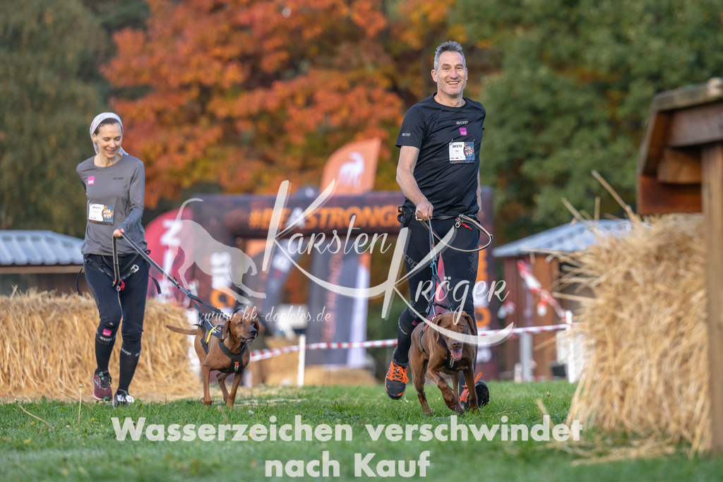 0856_ZZ91778-Bearbeitet | kk-dogfotos