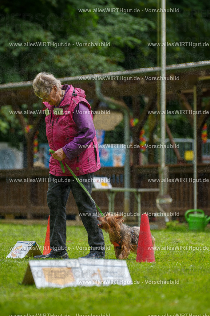 @allesWIRTHgut_Tierfotografie - www.allesWIRTHgut.de - 122400-7R508949 | Professionelle Tierfotografie in Mönchengladbach von Daniel Wirth (allesWIRTHgut). Liebevolle & natürliche Bilder von Hunden & Katzen für unvergessliche Erinnerungen.
