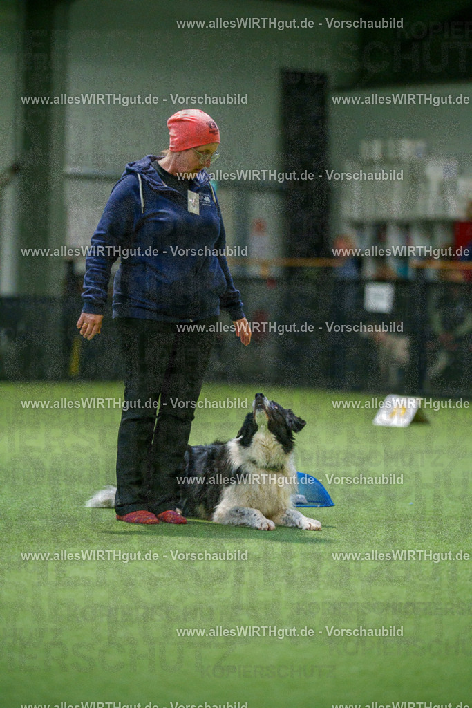 7R504554 | Professionelle Tierfotografie in Mönchengladbach von Daniel Wirth (allesWIRTHgut). Liebevolle & natürliche Bilder von Hunden & Katzen für unvergessliche Erinnerungen.