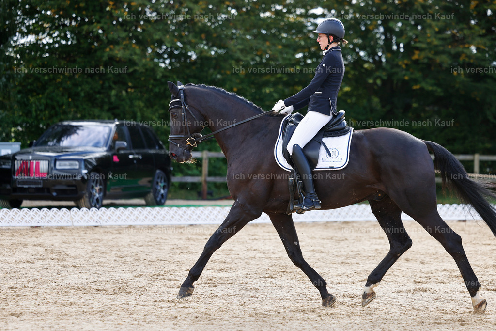 02-108-DRESSUR L_  -StoibPH-4735 | working equitationturnier fotograf videograf stoibphotography marixx film working equitation deutschland reitsport turnierfotografie eventfotografie equestrian events