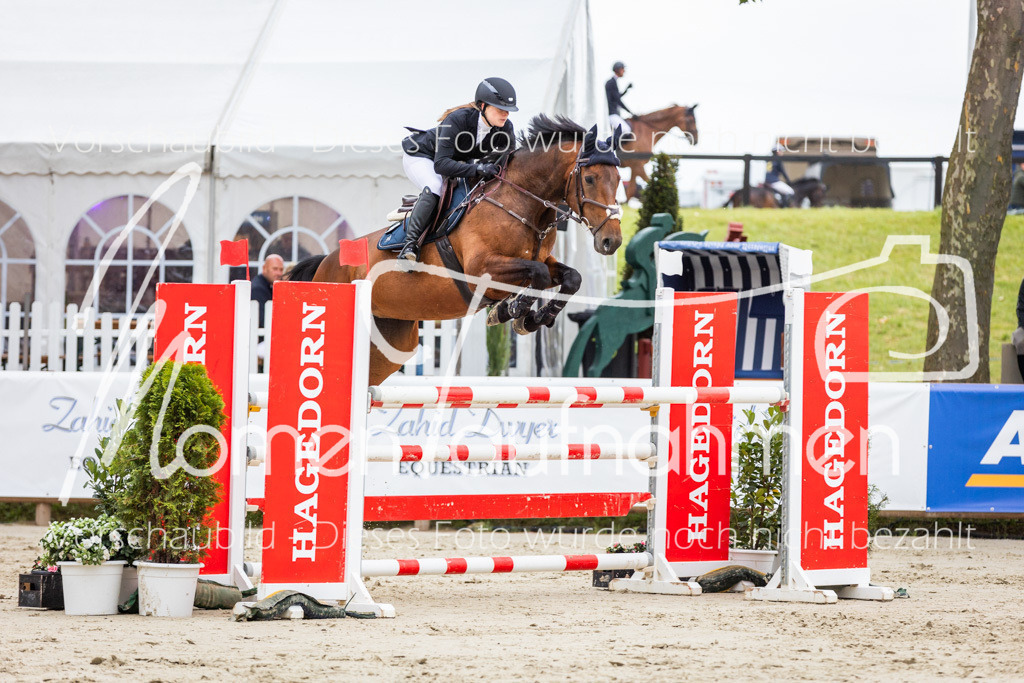 BHO-2PhSpr-M-180 | MomenTaufnahmen Pferdesportfotos