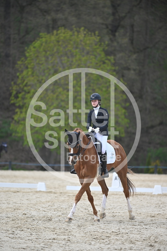 DSC_5144 | sattelsport - Realisiert mit Pictrs.com