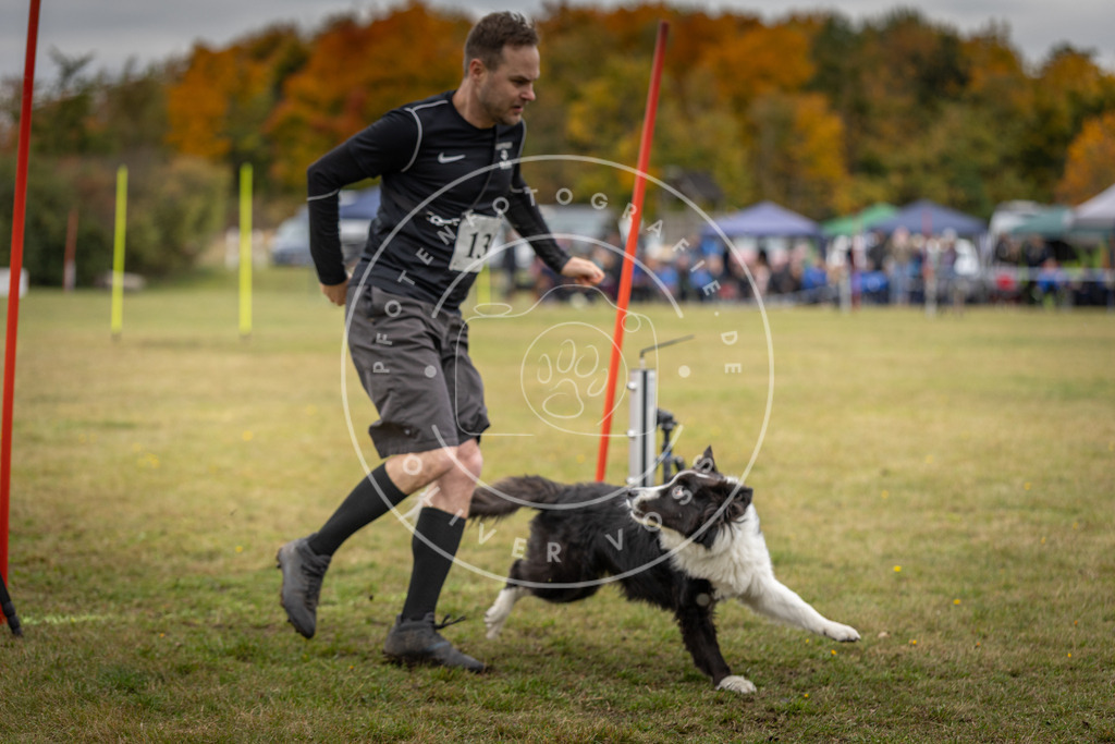 Pfotenfotografie_DV3A8308 | Hundefotografie, Tierfotograf, Pfotenfotografie, Fotoshooting Hund, Hunde Portrait, Hundesport, Hundeportraits, Heideshooting, Hunde, Sportfotograf, Hundefotograf, Turnierhundsport, THS,  - Realisiert mit Pictrs.com