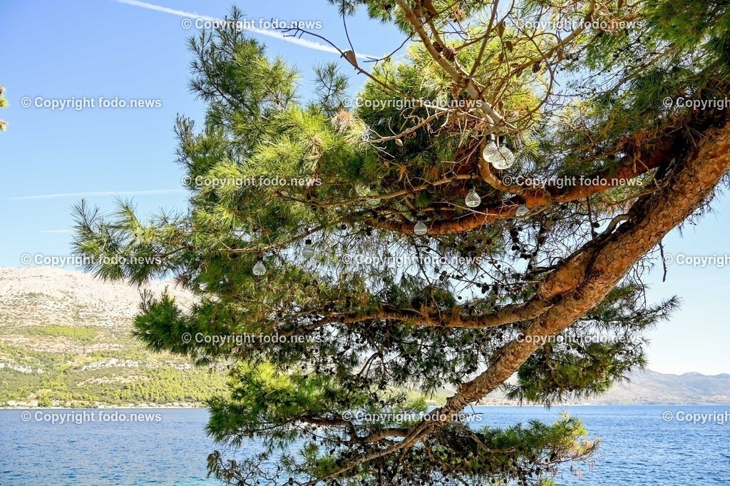 Kroatien_ Korcula_ Insel in Sueddalmatien_ Korcula Stadt_ 13.09.2024-134 | 13.09.2024, Kroatien, HRV, Korcula, Insel in Sueddalmatien, Korcula Stadt im Bild Hafen, Hafenansichten, Boot, Boote, Schiff, Schiffe, Gebauede, Adria, Meer, Stadtansichten, Altstadt, Marco Polo, Museum, Touristen, Souvenier, Restaurant, KonobaKorcula - Schwarzes Korfu - benannt nach den dunklen Kiefernwaeldern, ist eine zu Kroatien gehoerende Insel in der Adria vor der Kueste Sueddalmatiens. Zugleich ist sie Teil des Dinarischen Gebirges. Quelle: Wikipedia