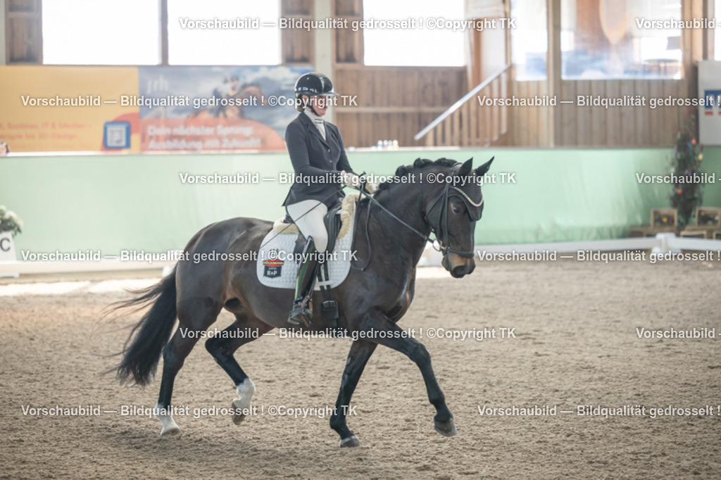 _D5A0481 | Emotionale Pferde- & People-Fotografie rund um Heidelberg, Leimen & Umgebung. Natürliche Fotos von Pferd, Mensch & Familie. Jetzt Termin sichern!