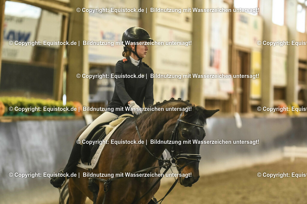 20231029_02_Reiter-WB_Schritt-Trab-Galopp_Abteilung-02_0031 | Foto: Thomas Hartig