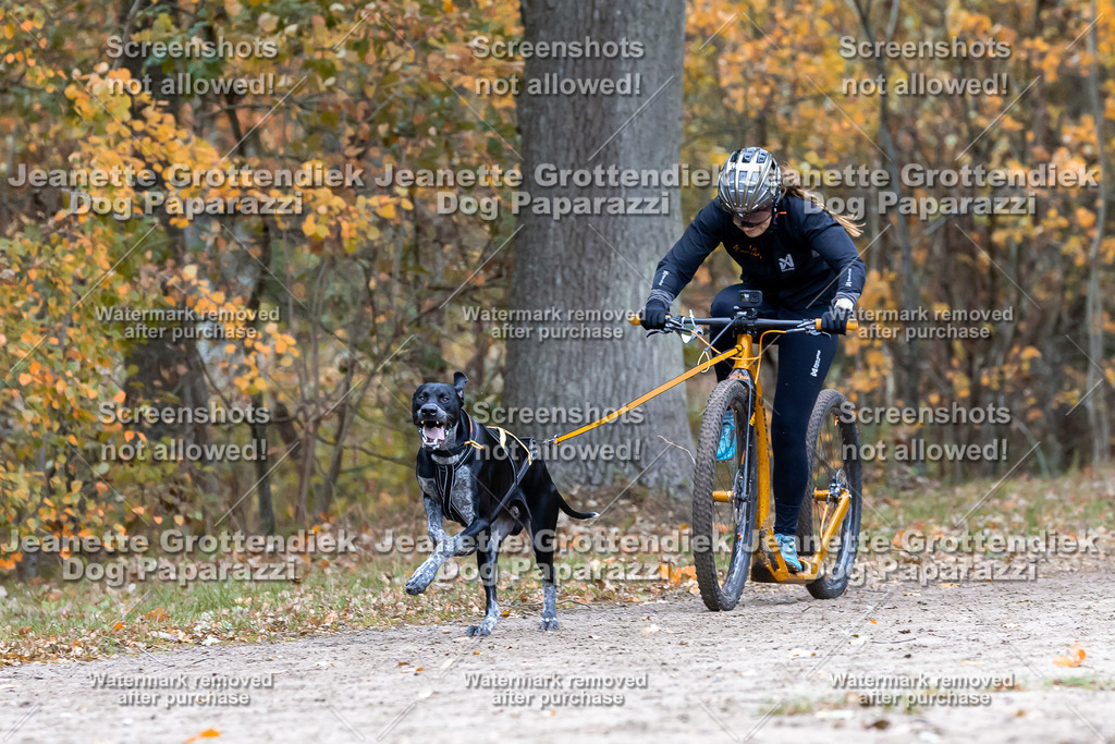 Dog Paparazzi - SD CaniX Championship 2025-568 | Dog Paparazzi Jeanette Grottendiek Fotografie & Videografie - Realisiert mit Pictrs.com