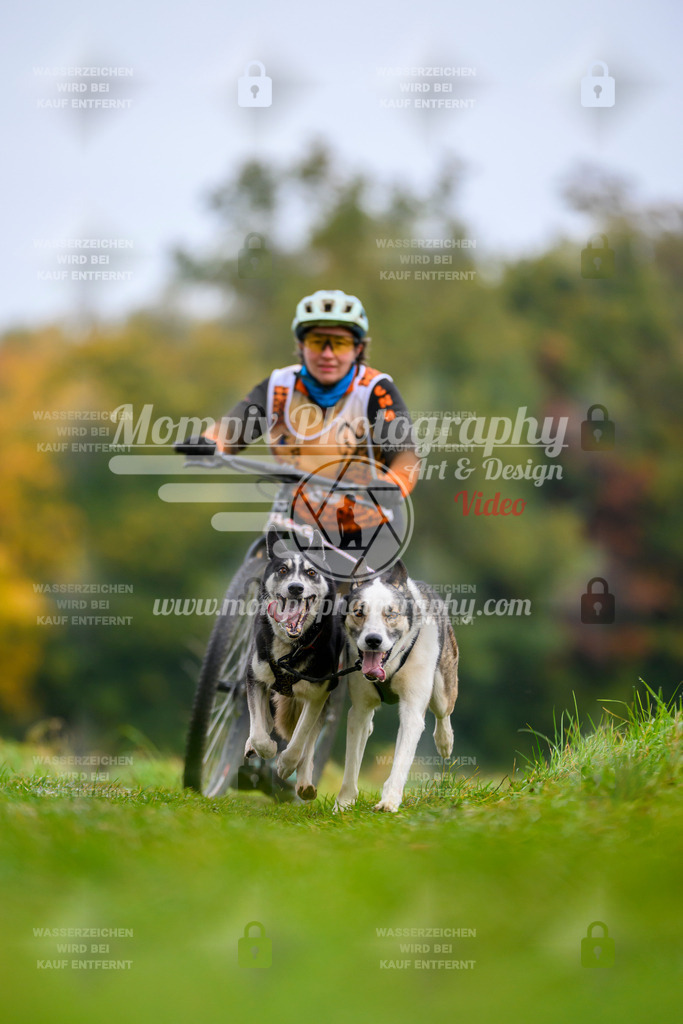 MompixPhotography_CDLBDB2025_DI_DS-13 | PayLife
