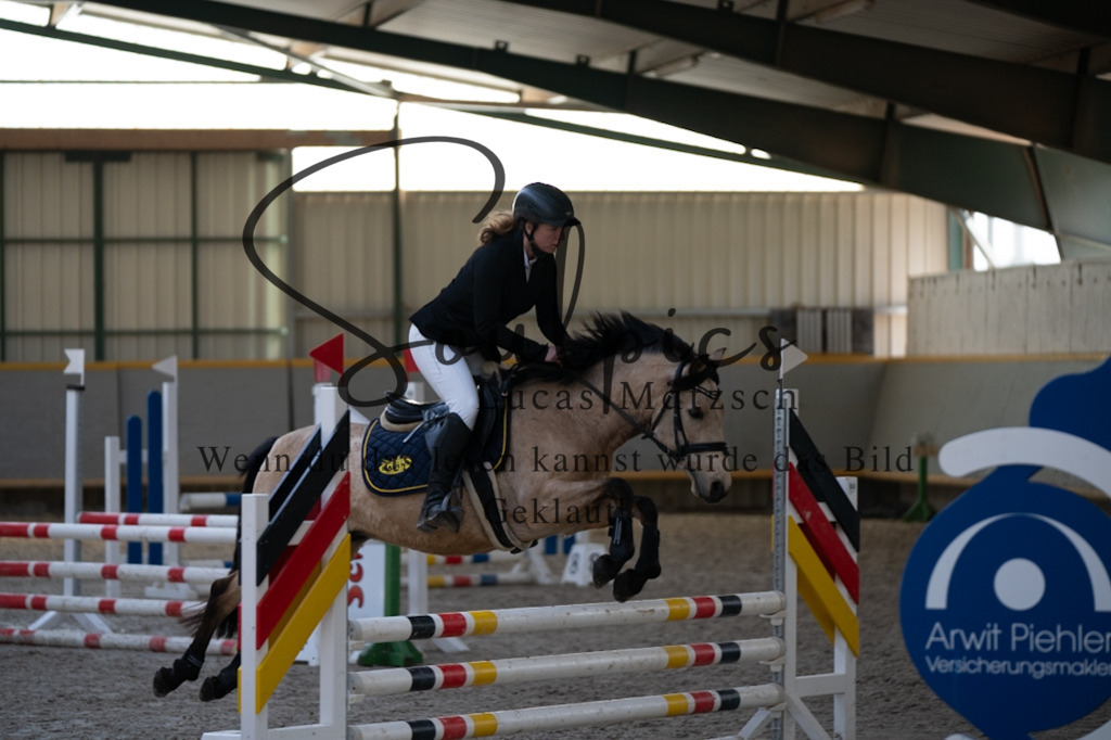 A7V06555 | Pferdefotograf