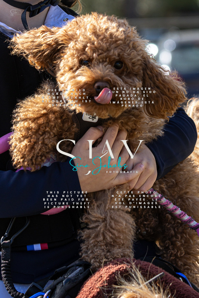 IMG_6054 | s-jay-photography - Realisiert mit Pictrs.com