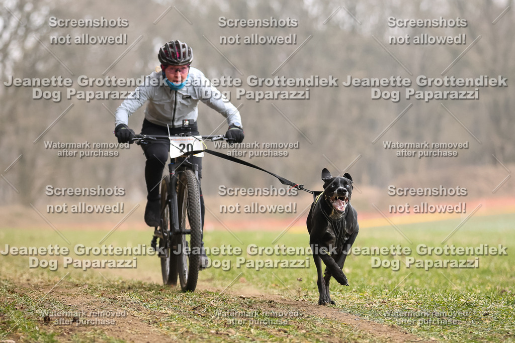 Dog Paparazzi - Plate 2026-72 | Dog Paparazzi Jeanette Grottendiek Fotografie & Videografie - Realisiert mit Pictrs.com