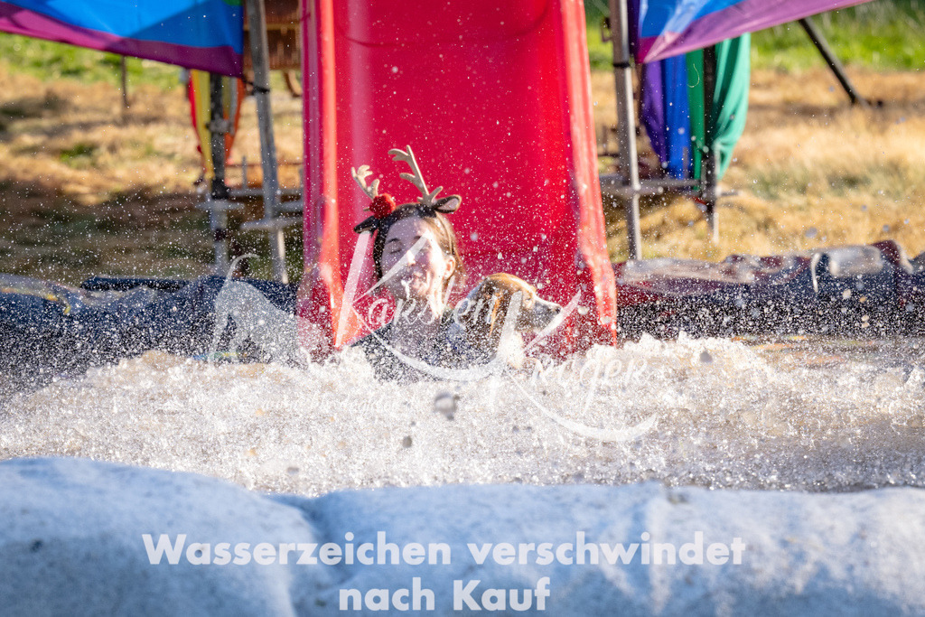 1737_ZZ91281 | kk-dogfotos