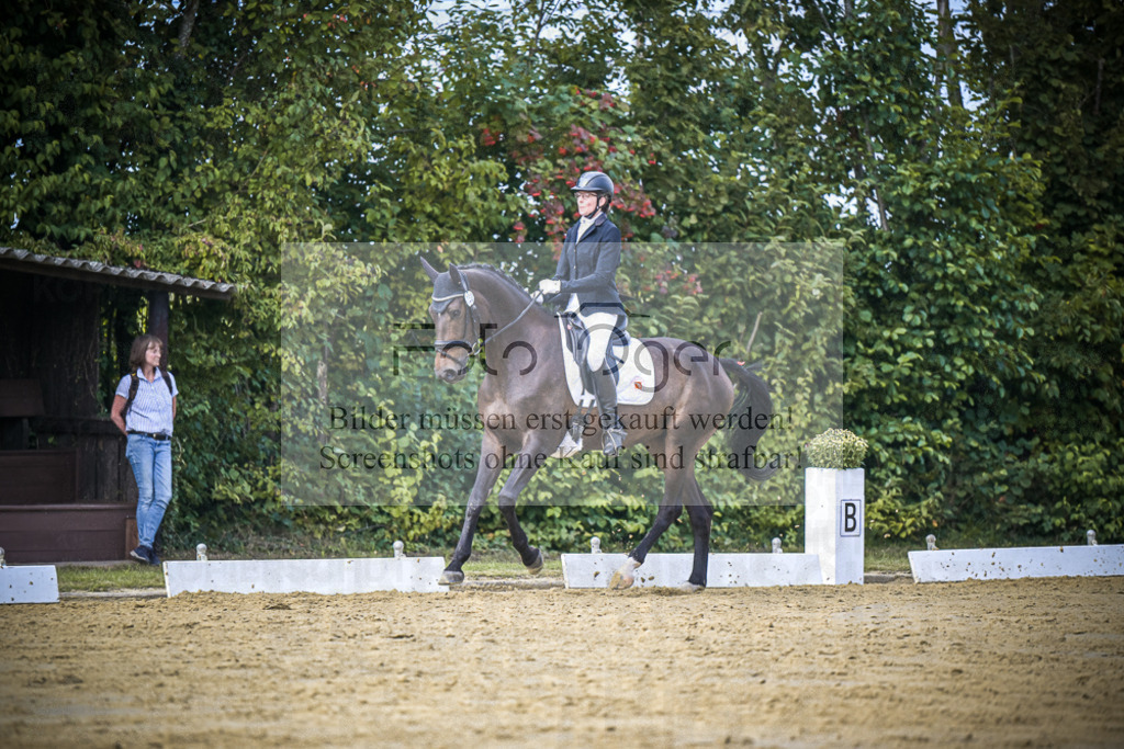 DOS_5880 | Entdecke hochwertige Reitturnierfotos von Foto Oger. Professionell, emotional und authentisch – jetzt Lieblingsmomente im Shop bestellen.Deutschlandweite Turnierfotografie. - Realisiert mit Pictrs.com