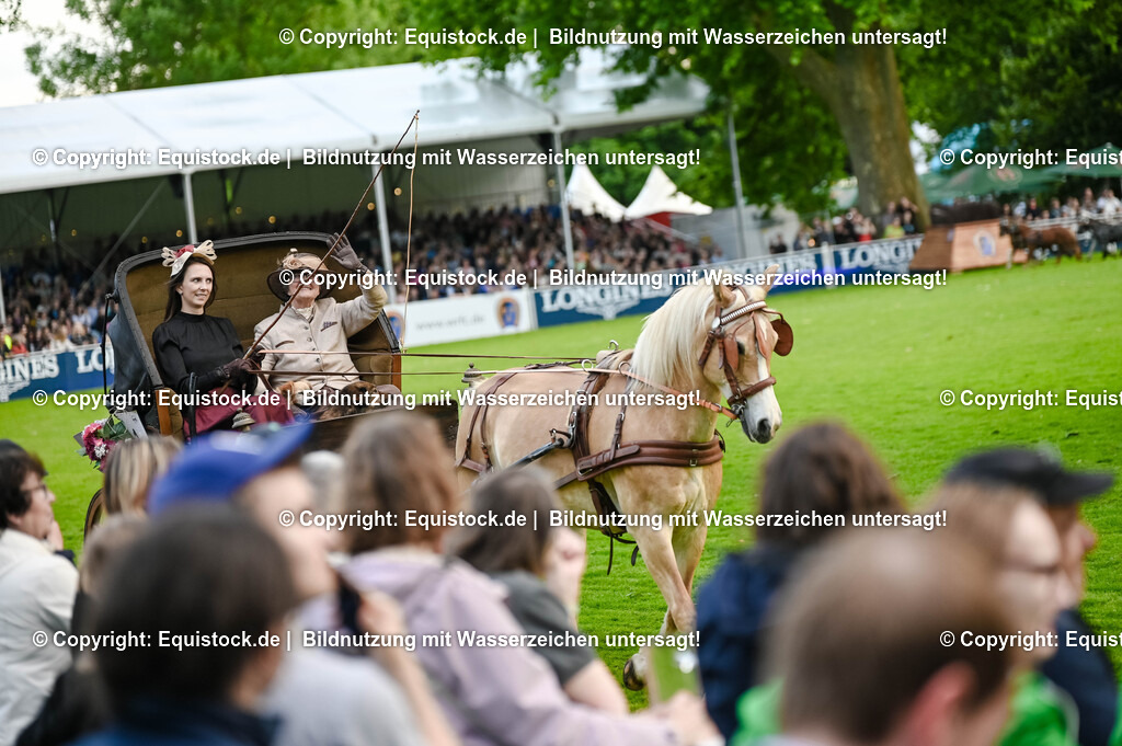 20250606_Lange-Pferdenacht_0243 | Foto: Thomas Hartig