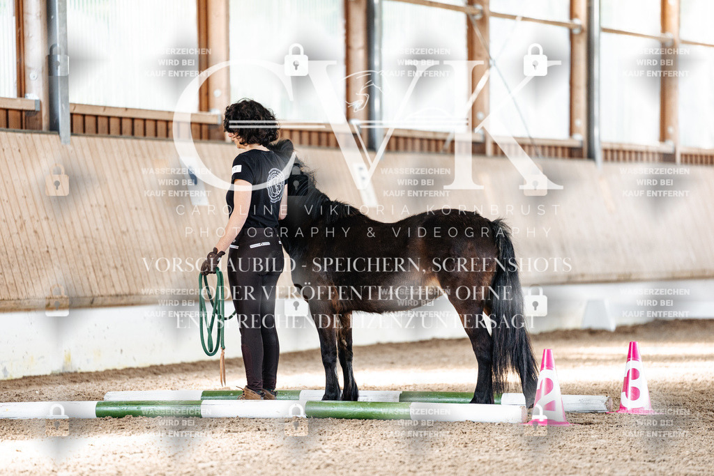 CK905161 | Turnierfotografie Pferdefotografie Trier Rheinland-Pfalz Pferdesport Reitsport Tierfotografie Sportfotografie Pferdevideo Pferdevideografie Equestrianvideography equestrianphotography  - Realisiert mit Pictrs.com