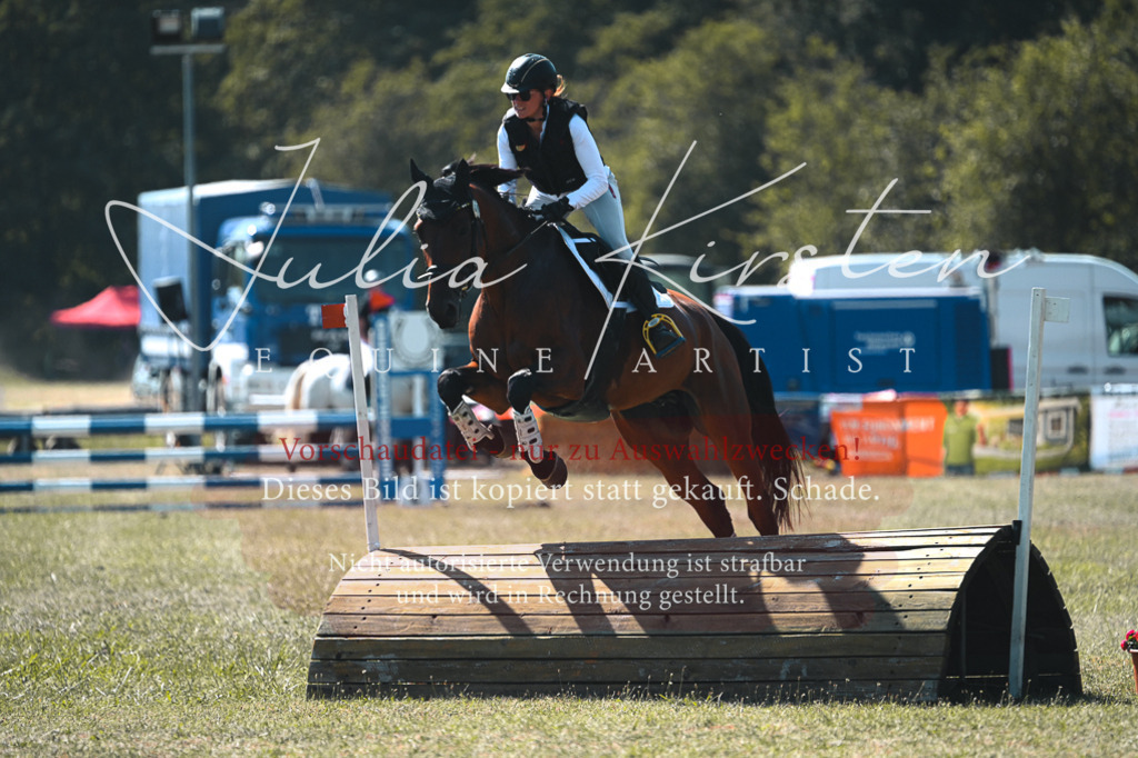 DSC_8293 | Pferde- und Turnierfotografie in Westsachsen. Pferdeportraits, Auftragszeichnungen und intuitive Kunst.