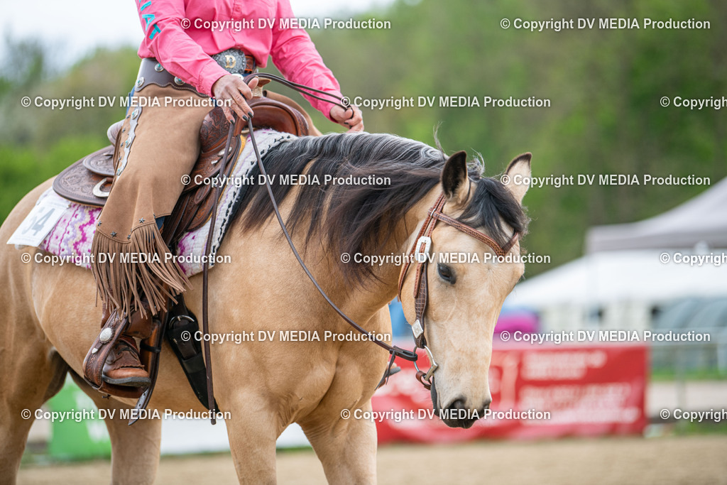 Heiligenwald Tag 1-1575 | dv-media-shop - Realisiert mit Pictrs.com