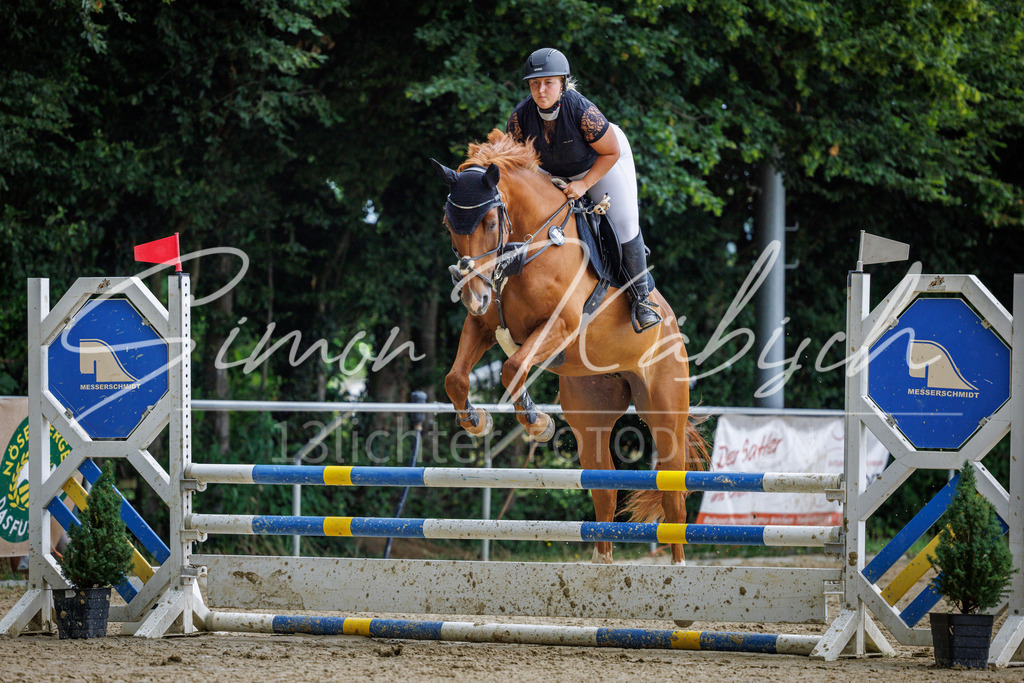 20260705-_3LI4969 | Tierfotografie Pferde, Hunde, Katzen, Haustiere.
Turnierfotografie Reitturniere, Reiten, Springreiten, Dressur in Hanau, dem Main-Kinzig-Kreis und dem Rhein-Main- Gebiet um Frankfurt