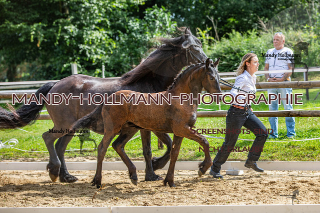 IMG_6622 | mandyhollmannphotographie