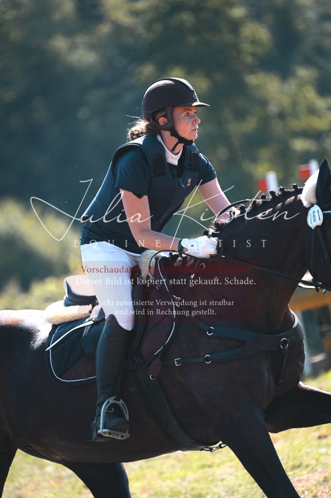 DSC_8050 | Pferde- und Turnierfotografie in Westsachsen. Pferdeportraits, Auftragszeichnungen und intuitive Kunst.