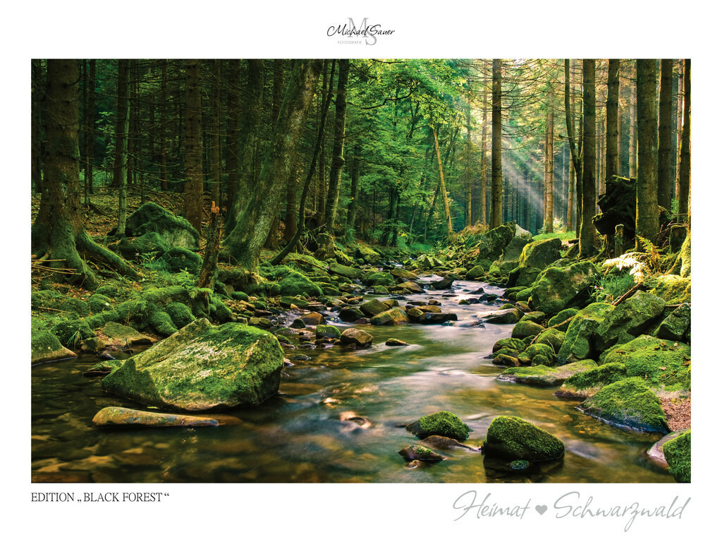 Edition "BLACK FOREST" | Motiv: Idyllischer Ellbach bei Baiersbronn, Nordschwarzwald. Die beliebtesten Fotografien aus dem Schwarzwald als signierte Sonderedition. Eine exklusive Wanddekoration für alle Liebhaber von traumhaften Schwarzwaldlandschaften. Hochwertige Wandbilder in brillanter Druckqualität auf Acrylglas, Alu-Dibond und Leinwand für Ihr Zuhause – inklusive rückseitige Aufhängung.
 - Realisiert mit Pictrs.com