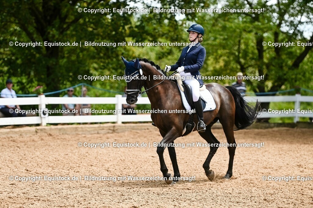 20230716_03_Dressurprfg. Kl.L - Tr._0603 | equistock