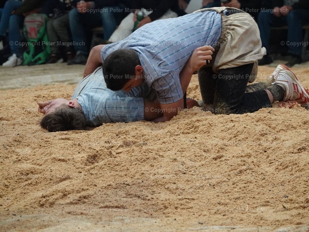 k-DSC06103 | Schwingen - Realisiert mit Pictrs.com