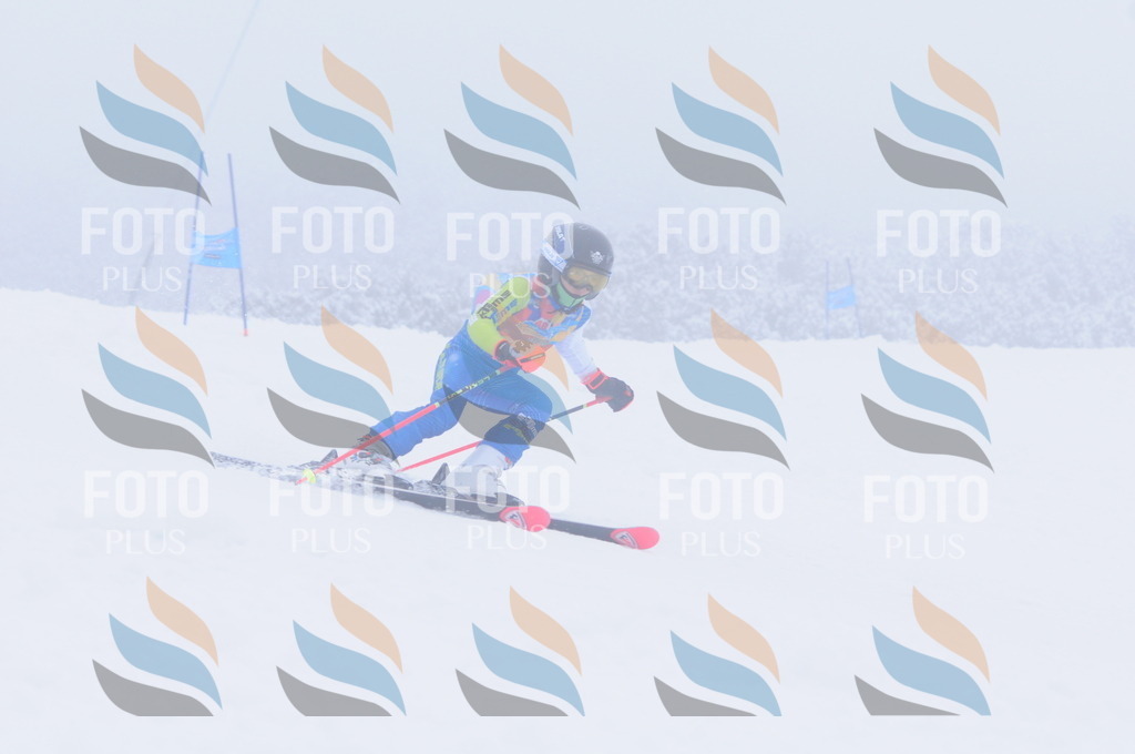 C2190 | holidayphoto