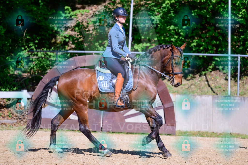 01052026-Giesenbach-02-Stiltrail-0699 | Fokus Hufschlag Fotografie - Realisiert mit Pictrs.com