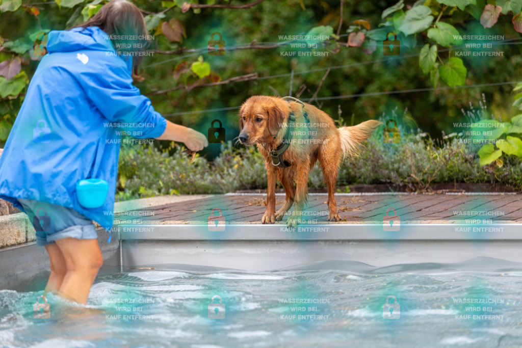 _HP_6206_1000o | HetPix, HetPix Fotodesign, Fotografie, Fotodesign, Webshop, Sportfotografie, Portraitfotografie, Onlineshop, Sportfotografie, Polch, Motorsportfotografie, Eventfotografie