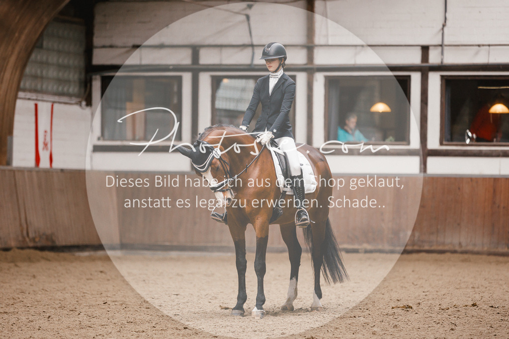 3I6A7497 | Stimmungsvolle Portraits und Reitsportfotografie im Ruhrgebiet und im Münsterland.

Pferdefotografie, Hundefotografie, Tierfotografie, Reportagen, Portraits von Tier und Mensch, Turnierfotografie in Bochum, Recklinghausen, Marl, Haltern am See, Dülmen.. - Realisiert mit Pictrs.com
