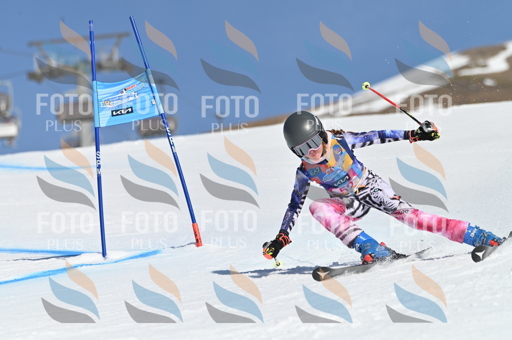 BGV_8577 | holidayphoto