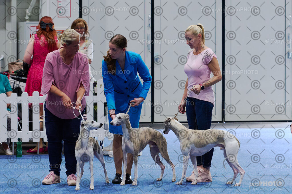 202406_ÖKV-IHA-Tulln24_DSC_2824 | proPHOTO - Realisiert mit Pictrs.com