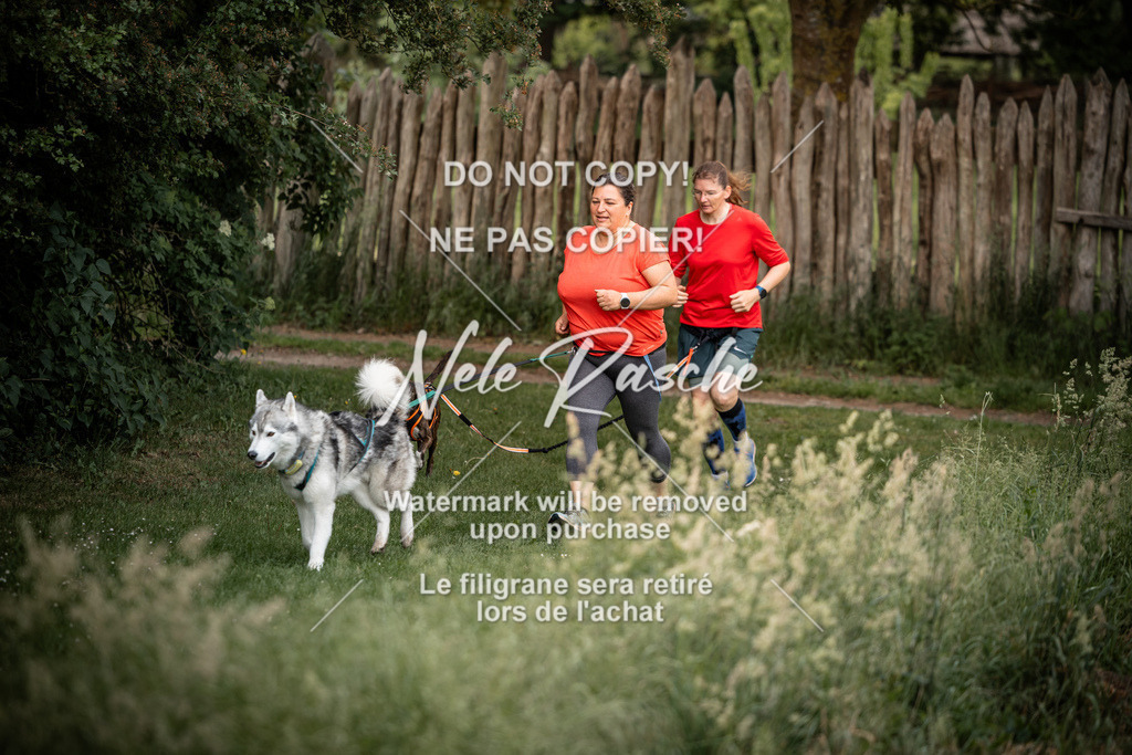 nelerasche_So-funtrail_93 | nelerasche