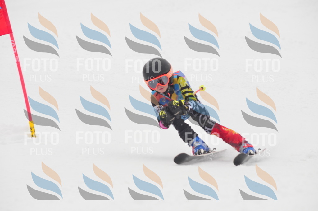 C1042 | holidayphoto