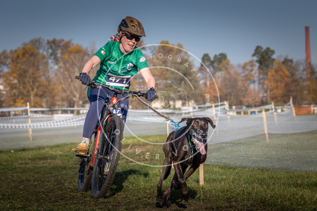 CaniXpix_0L8A4598 | Hundefotografie, Tierfotograf, Pfotenfotografie, Fotoshooting Hund, Hunde Portrait, Hundesport, Hundeportraits, Heideshooting, Hunde, Sportfotograf, Hundefotograf, Turnierhundsport, THS,  - Realisiert mit Pictrs.com