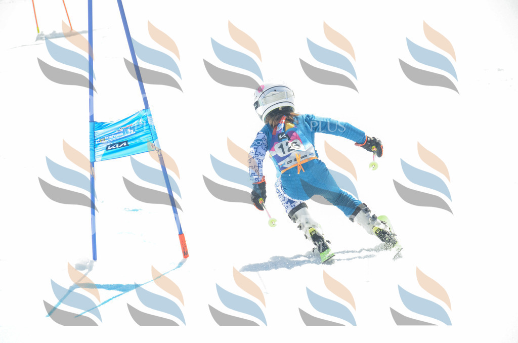 _ELE6074 | holidayphoto