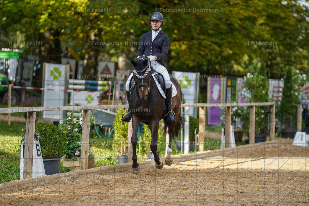 20221007-FAH09968 | Diessen am Ammersee, 2022, Dressur- und Springturnier, Reitsportbilder, Turnierfotografen Bayern, Pferdefotografen, Fotoagentur Herrmann, Turnierbilder