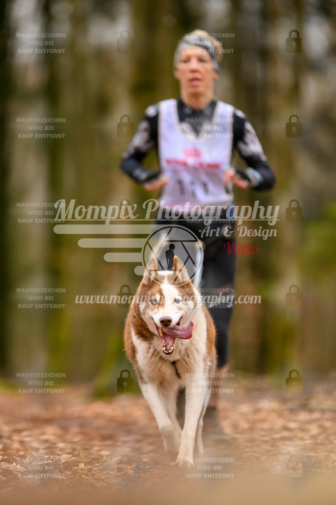 MompixPhotography_Habay2024_SA_Fun-37 | PayLife