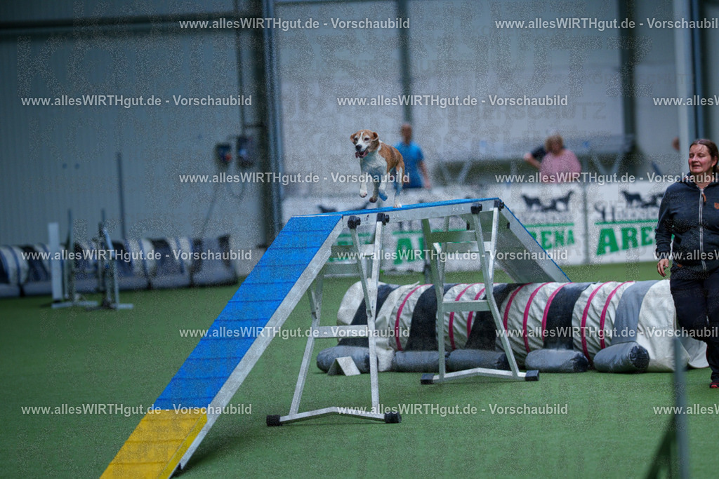 @allesWIRTHgut_Tierfotografie - www.allesWIRTHgut.de - 2604261115-7R509367 | Professionelle Tierfotografie in Mönchengladbach von Daniel Wirth (allesWIRTHgut). Liebevolle & natürliche Bilder von Hunden & Katzen für unvergessliche Erinnerungen.