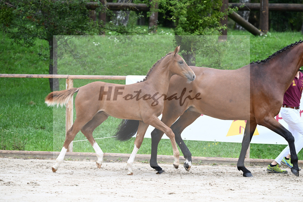 Kat-Nr. 6 HF Erdinger_Scherer_25230059 | hf-fotografie - Realizzato con Pictrs.com