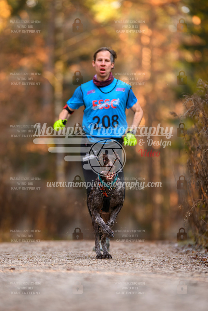 MompixPhotography_DM_AKDM_SO_2025_-2 | PayLife